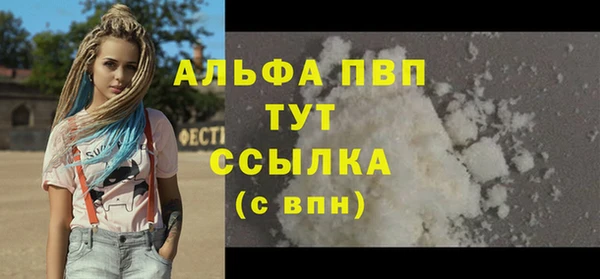 стаф Козельск