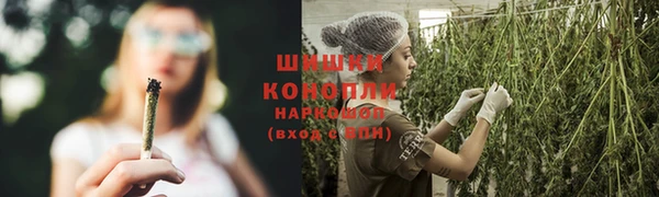 стаф Козельск