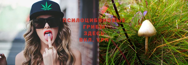 прущие грибы Кодинск