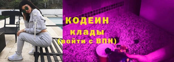 прущие грибы Кодинск