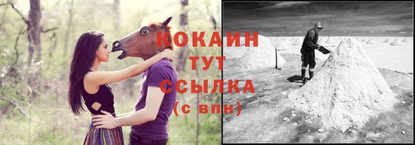 стаф Козельск