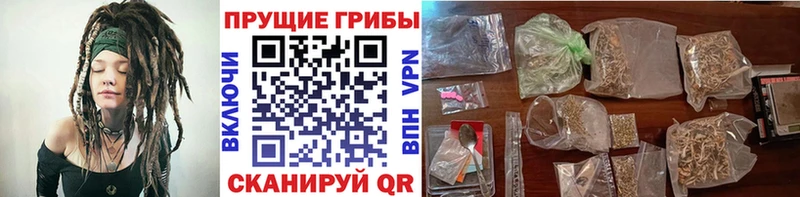 Псилоцибиновые грибы мицелий  Купить где  Красный Холм 